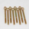 ADVANCED ENGINE DESIGN 4150 Fuel Bowl Screws (8) 5200