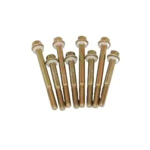 ADVANCED ENGINE DESIGN 4160 Fuel Bowl Screws (8) 5250