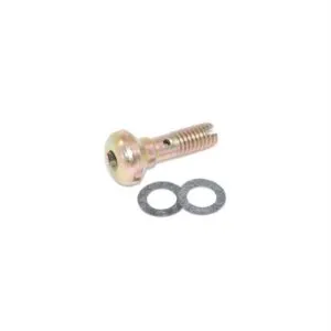 ADVANCED ENGINE DESIGN Hi-Flow Accelerator Pump Nozzle Screw 5550