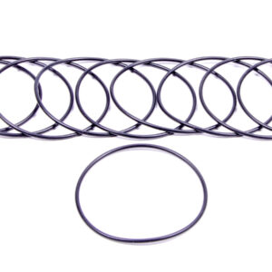 AEROMOTIVE Filter O-Rings (10) 12002