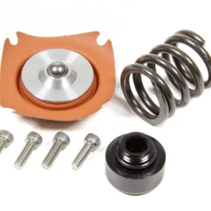 AEROMOTIVE Regulator Rebuild Kit - 13305 35-75psi .313 Seat 13015