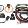 AEROMOTIVE Cont. Kit BoostWorx PWM Returnless Mustang GT500 66133
