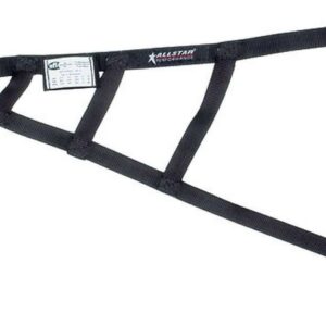 ALLSTAR PERFORMANCE Triangle Window Net SFI ALL10246