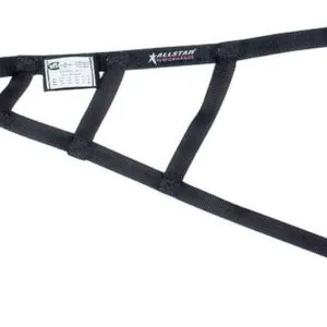 ALLSTAR PERFORMANCE Triangle Window Net SFI ALL10246