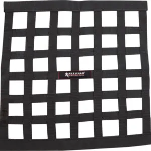 ALLSTAR PERFORMANCE Window Net Ribbon Style 18 x 18 Black Non-SFI ALL10283