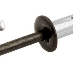 ALLSTAR PERFORMANCE Sm Hd Rivet 250pk Black Flange Type ALL18082