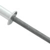 ALLSTAR PERFORMANCE Sm Hd Rivet Silver 250pk ALL18103