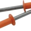 ALLSTAR PERFORMANCE Sm Hd Rivet Orange 250pk ALL18136