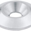 ALLSTAR PERFORMANCE Countersunk Washer 1/4in x 1in 10pk ALL18662