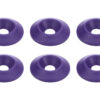 ALLSTAR PERFORMANCE Countersunk Washer Purple 10pk ALL18697