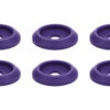 ALLSTAR PERFORMANCE Body Bolt Washer Plastic Purple 10pk ALL18852