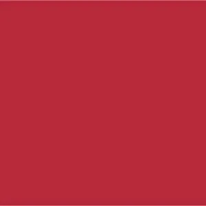 ALLSTAR PERFORMANCE Aluminum Red 4x10 ALL22204