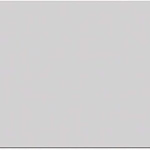 ALLSTAR PERFORMANCE Aluminum Silver Metallic 4x10 ALL22245