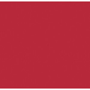 ALLSTAR PERFORMANCE Aluminum Red/Red 4x10-1/2 ALL22484