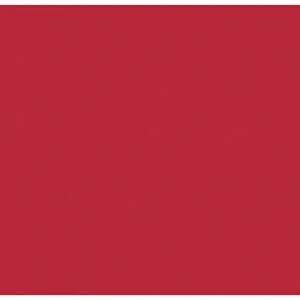 ALLSTAR PERFORMANCE Aluminum Red/Red 4x10-1/2 ALL22484