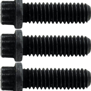 ALLSTAR PERFORMANCE Mandrel Bolt 3pk 5/16-18x1in ALL31037