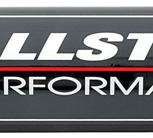ALLSTAR PERFORMANCE Fuel Filter 8in -10 Paper Element ALL40217