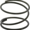 ALLSTAR PERFORMANCE Fuel Filter Spring ALL40236