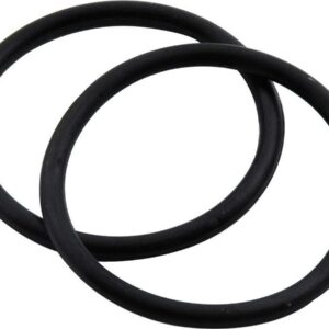 ALLSTAR PERFORMANCE Fuel Filter O-Ring 2pk ALL40237