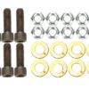 ALLSTAR PERFORMANCE Brake Rotor Bolt Kit 5/16in-24 ALL42036