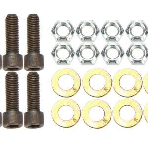 ALLSTAR PERFORMANCE Brake Rotor Bolt Kit 5/16in-24 ALL42036
