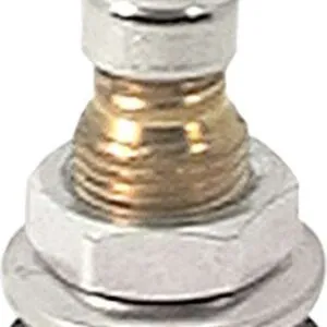 ALLSTAR PERFORMANCE Brass Valve Stems Bolt In 10pk ALL44134-10