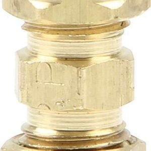 ALLSTAR PERFORMANCE Union 3/16in Male ALL48034