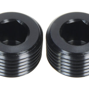 ALLSTAR PERFORMANCE Allen Plugs NPT 1/16in 2pk ALL49800