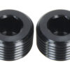 ALLSTAR PERFORMANCE Allen Plugs NPT 1/4in 2pk ALL49802