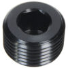 ALLSTAR PERFORMANCE Allen Plug NPT 3/4in ALL49805