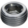 ALLSTAR PERFORMANCE Allen Plugs NPT 1/4in Steel 2pk ALL49812
