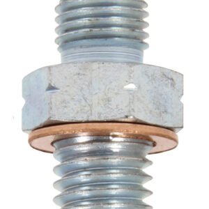 ALLSTAR PERFORMANCE Adapter Fittings -3 to 10mm-1.5 2pk ALL50037