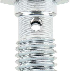 ALLSTAR PERFORMANCE Banjo Bolts 10mm-1.50 2pk ALL50077