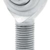 ALLSTAR PERFORMANCE Rod End RH 5/16 Male Steel ALL58005