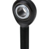 ALLSTAR PERFORMANCE Pro Rod End RH 1/2 Male Moly ALL58058