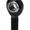 ALLSTAR PERFORMANCE Pro Rod End LH Moly PTFE Lined 3/4 ALL58086