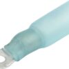 ALLSTAR PERFORMANCE Ring Terminal #6 Hole Heat Shrink 16-14 10pk ALL76071