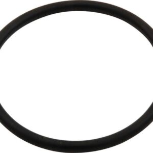 ALLSTAR PERFORMANCE Repl O-Ring for Water Neck ALL99136