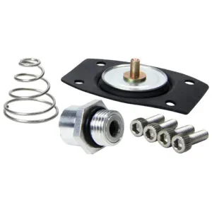 ALLSTAR PERFORMANCE Rebuild Kit for ALL40290 ALL99430