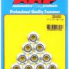 ARP Hex Nuts - 5/16-24 (10) 200-8630