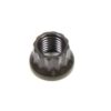 ARP 5/16-24 12pt. Nut (1) 300-8301