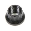 ARP 1/2-20 12pt. Nut (1) 300-8304