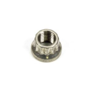 ARP S/S 12pt. Nut - 5/16-24 (1) 400-8301