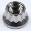 ARP S/S 12pt. Nut - 3/8-24 (1) 400-8302