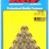 ARP S/S 12pt. Nuts - 3/8-24 (10) 400-8332