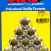 ARP S/S 1/2-20 12pt. Nuts 10pk 400-8334