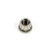 ARP S/S 12pt. Nut - 1/4-20 (1) 401-8300