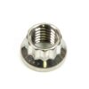 ARP S/S 12pt. Nut - 1/2-13 (1) 401-8302
