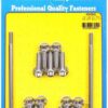 ARP S/S Oil Pan Bolt Kit 12pt. LS1/LS2 434-6902