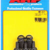 ARP Bolt Kit - 6pt. (5) 8mm x 1.25 x 16mm 661-1017